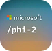 Microsoft Phi-2