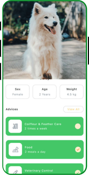 Pet Grooming App screen