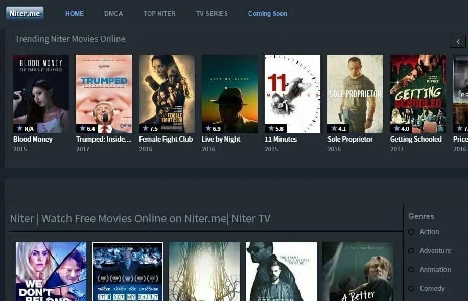 Niter alternative of 123movies 